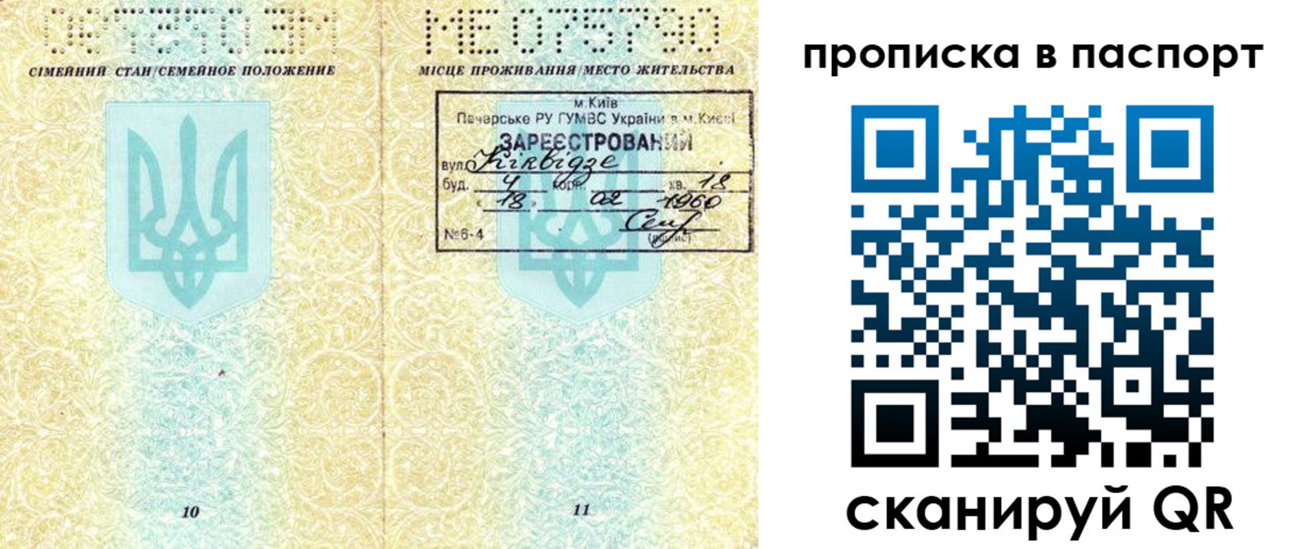 прописка паспорт в Дальнегорске